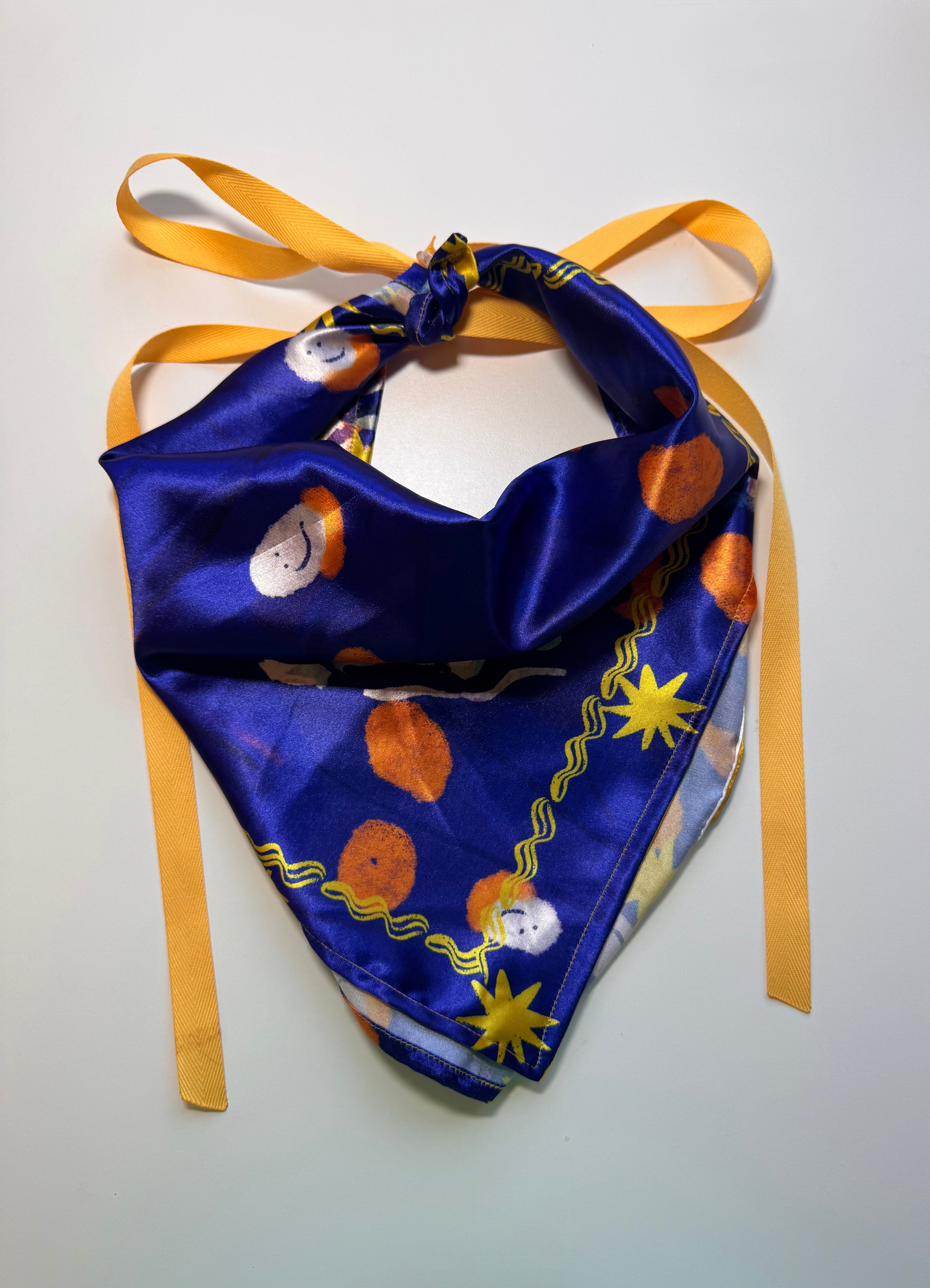 Butterfly zoom Scarf with Removable Ribbon ties