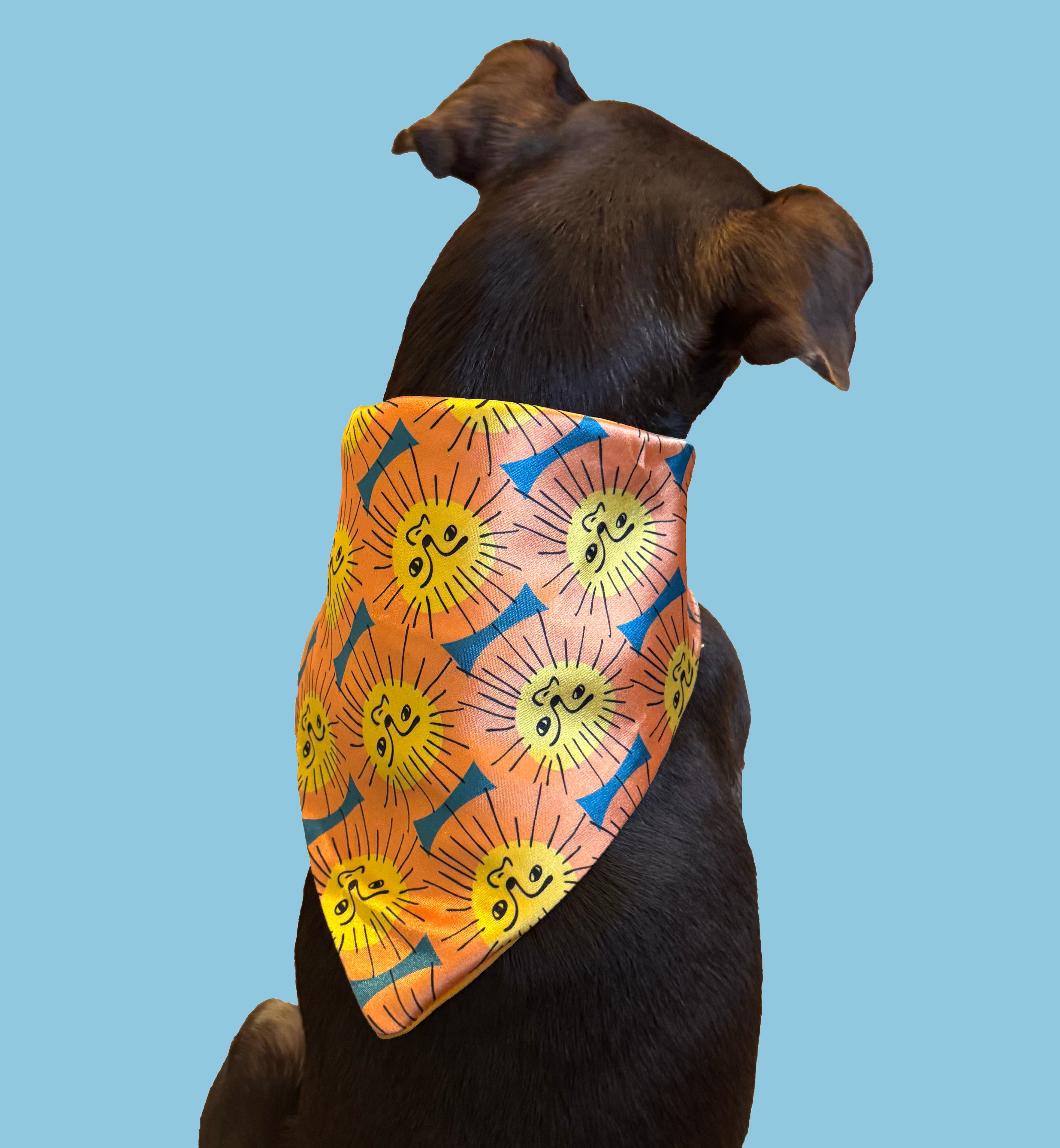 Dandelion Pet Bandana