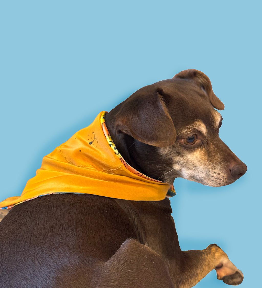 Dandelion Pet Bandana